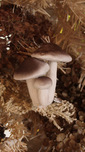 Mushroom Tree Clip Ornament