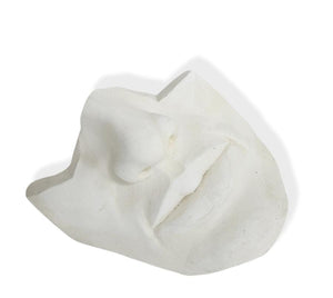 Vintage Clay Bust Wall Hanging