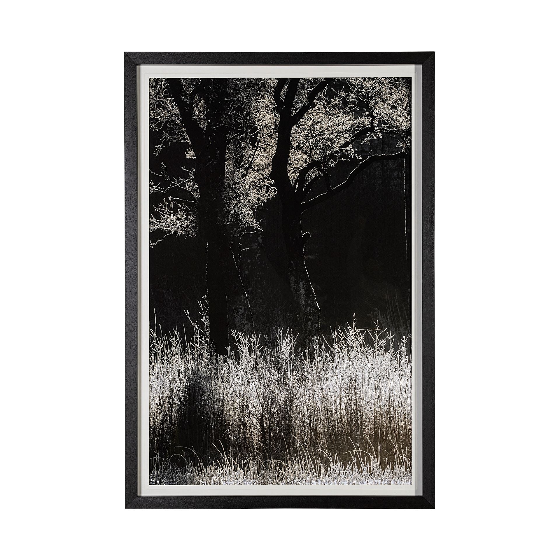 Landscape Series No. 1
