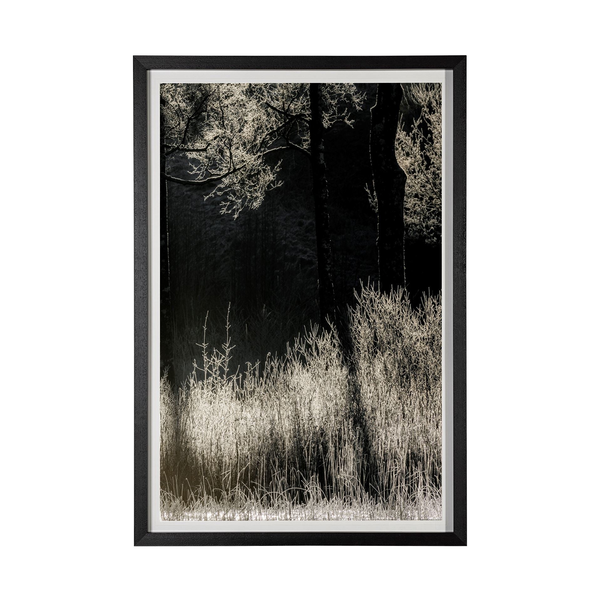 Landscape Series No. 2