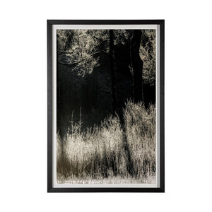 Landscape Series No. 2