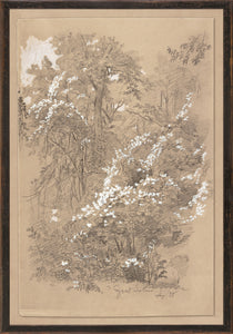 Goat Island c. 1858