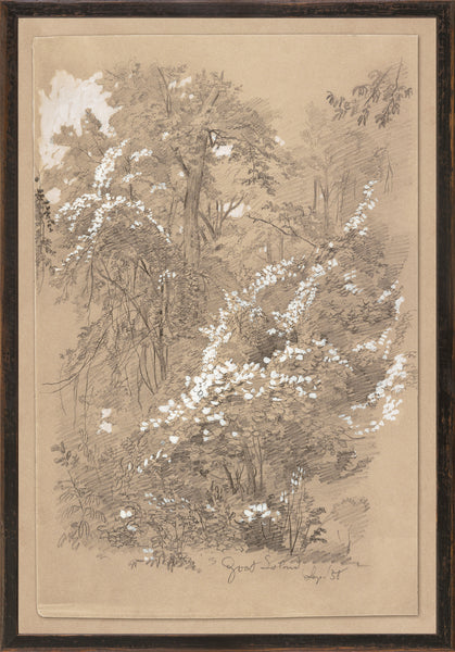Goat Island c. 1858