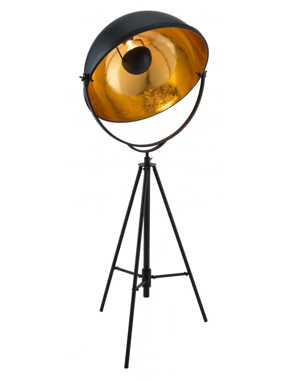 Director Floor Lamp