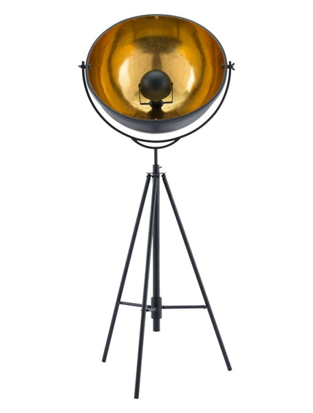 Director Floor Lamp